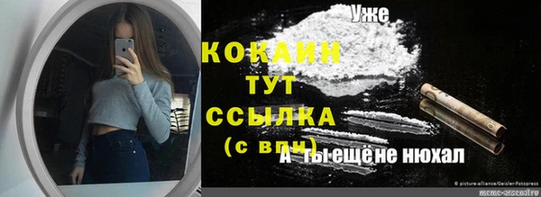 мдпв Няндома
