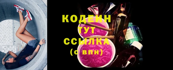 мдпв Няндома