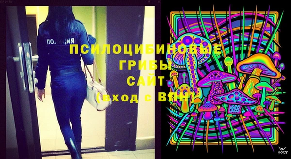 мдпв Няндома
