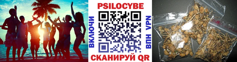 Псилоцибиновые грибы мицелий Купить где Демидов