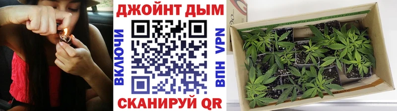 Шишки марихуана AK-47 Демидов